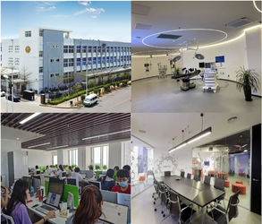 La CINA Changsha Dinyi Medical Technology Co., Ltd. Fabbrica