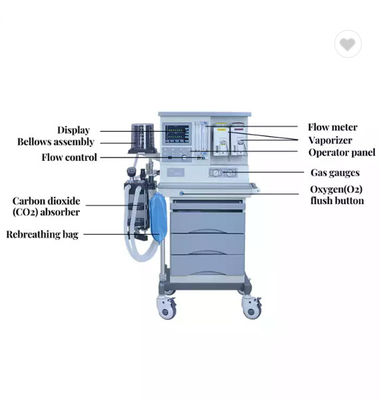 Macchina portatile di Anasthetic Anasthesia di anestesia dell'attrezzatura medica dall'ospedale ICU
