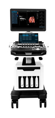 analizzatore di ultrasuono del carrello di ultrasuono di doppler di colore di 3D 4D 5D per OB'GYN
