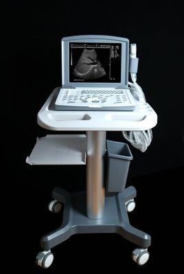 Scanner ad ultrasuoni di diagnostica digitale portatile OEM