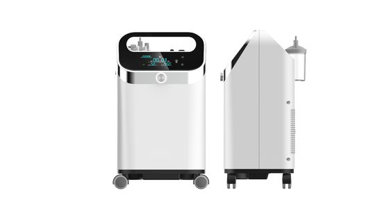 Concentratore di ossigeno portatile da 5 litri con allarme di purezza