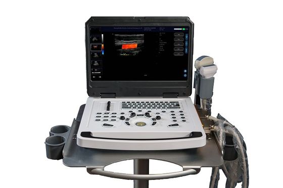 Scanner per macchine ad ultrasuoni Doppler a colori OEM