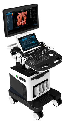analizzatore di ultrasuono del carrello di ultrasuono di doppler di colore di 3D 4D 5D per OB'GYN